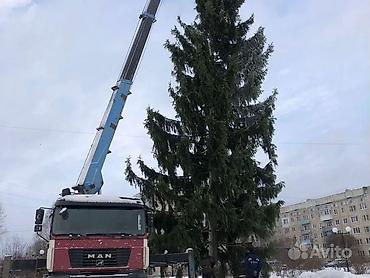 lion kg: Стрела 14 м, 15 т, Борт 12 кг — 2