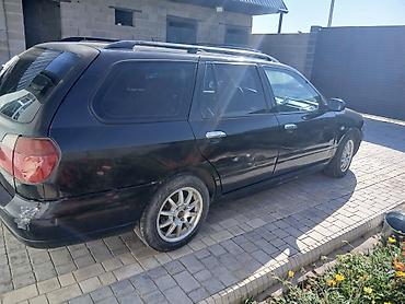 infinity ex: Nissan Primera: 2001 г., 1.8 л, Механика, Бензин, Универсал — 3