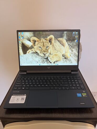 ручка для планшета: Ноутбук, HP, 16 ГБ ОЗУ, Intel Core i5, Более 17.3 ", Новый, Для несложных задач, память HDD + SSD