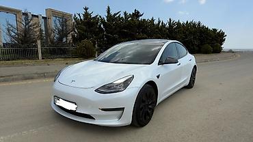 Tesla: Tesla Model 3: 0.1 l | 2022 il 62000 km Sedan — 7