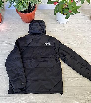 Пуховики и зимние куртки: Пуховик, Короткая модель, С капюшоном, L, 2XL — 8