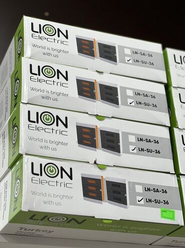 костюм на выписку: Электрдик панелдер, Пластик, Lion Electric