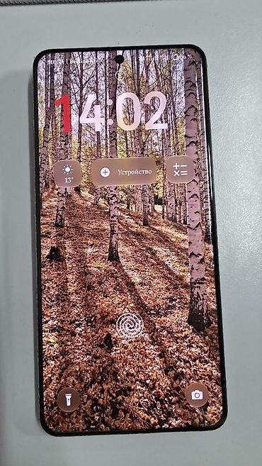 iphone pro max 16: OnePlus 13, Б/у, 256 ГБ, цвет - Черный, 2 SIM — 3