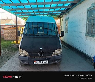 Mercedes-Benz: Mercedes-Benz Спринтер: 2004 г., Фургон — 2