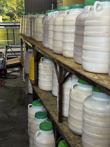 Мёд: Оптом горный мёд токтогульский токтогулдун тоо балы📍 Локация(сбора — 8