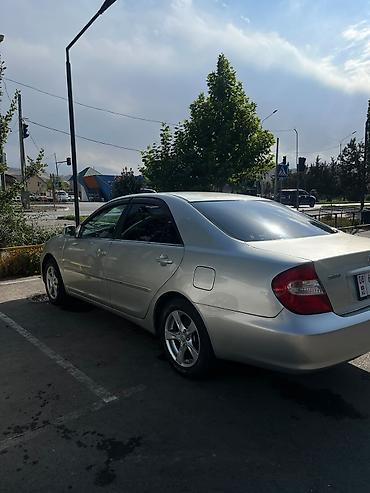 Toyota: Toyota Camry: 2003 г., 2.4 л, Автомат, Газ, Седан — 5