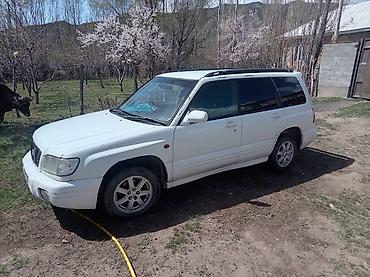 Продажа авто: Subaru Forester: 2001 г., 2 л, Автомат, Бензин, Универсал — 3