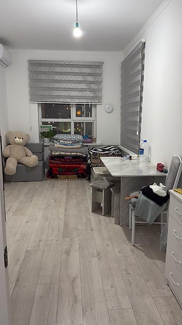 квартира под сдачу: 55 м², С мебелью полностью — 1