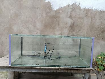 akvarium az: Unvan Xirdalan az islenib uzun 95 eni 35 hun35 Qiymet 60 azn — 1