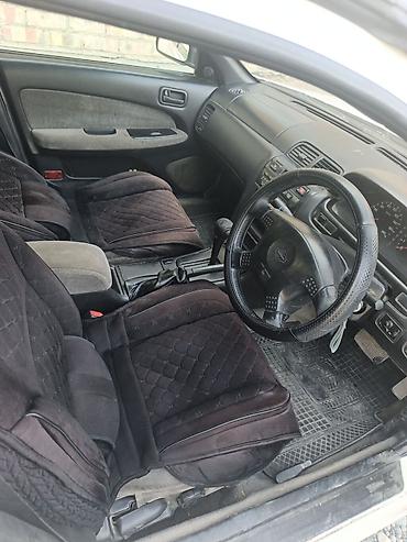 сефия: Nissan Cefiro: 1997 г., 2 л, Автомат, Бензин, Седан — 4