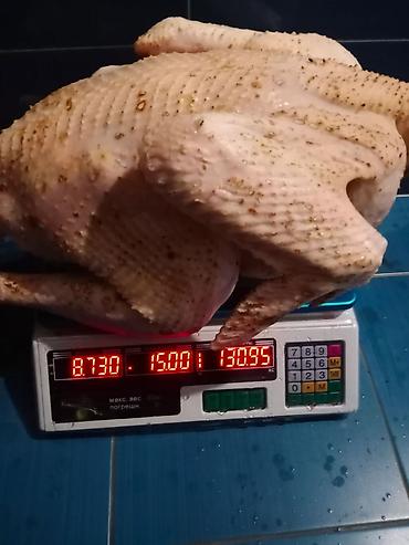 гриль индюк: Тушка домашней индейки, потрошённая. На заказ. 100% халяльный убой — 1