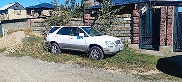 rx30: Lexus RX: 2001 г., 3 л, Автомат, Бензин, Кроссовер — 1