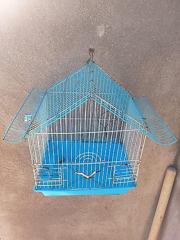 qus qaz: Quş qəfəsi – dam formalı, mavi rəngdə - Material: metal çubuqlu — 2