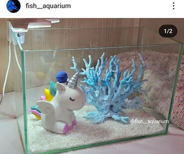 Рыбы: Аквариум 5 литров с дизайном