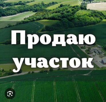 участок жер ынтымагы: 12 соток, Бизнес үчүн, Кызыл китеп