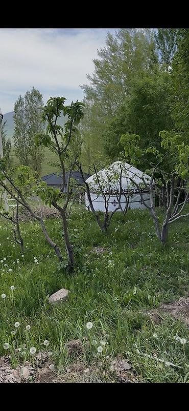 Аренда юрт: Бишкек шаарынан 16 км аралыгында Арчалы айылында жайгашкан. Кымыз — 2