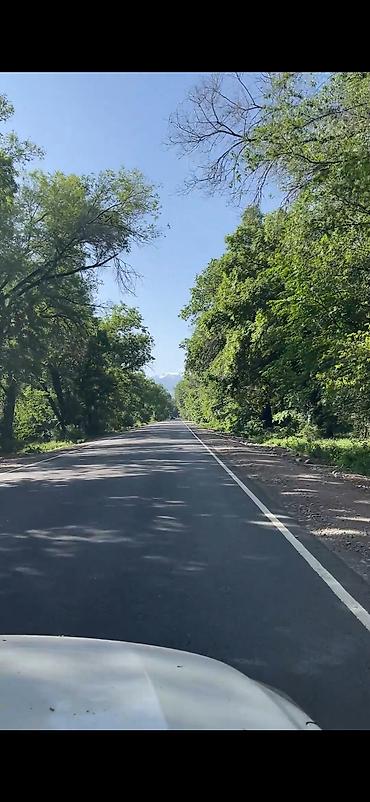 Жер тилкелери: 80 соток, Курулуш, Кызыл китеп, Сатып алуу-сатуу келишими — 3
