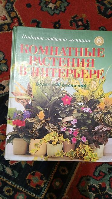 Книга «Комнатные растения в интерьере. Подарок любимой женщине» В at lalafo.kg Книга «Комнатные растения в интерьере. Подарок любимой женщине» В
