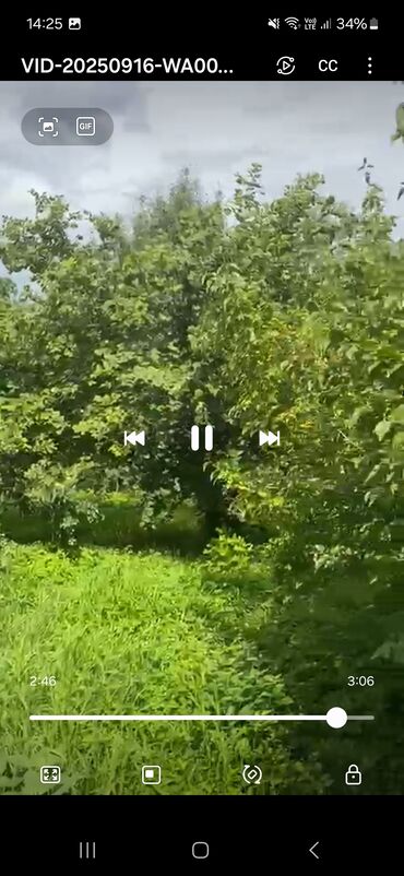 Bağ evlərinin satışı: Bakı, 24 kv. m, 7 otaqlı, Hovuzsuz, Telefon, Qaz, İşıq — 4