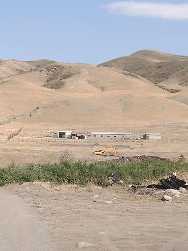 Продажа участков: 120 соток, Для строительства, Красная книга — 21