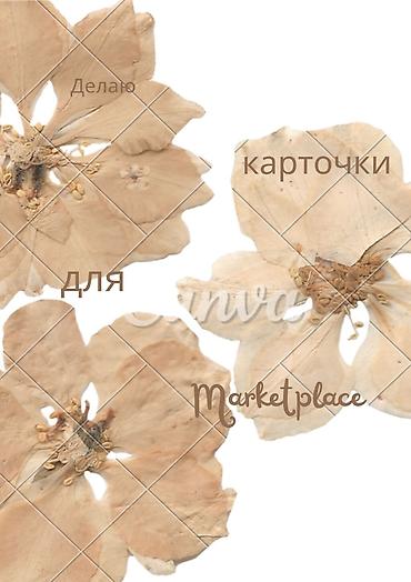 market: Графический дизайнер — 1