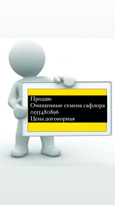 семена экспорсет: Продаю очищенные семена сафлора . Цена договорная ! at lalafo.kg семена экспорсет: Продаю очищенные семена сафлора . Цена договорная !