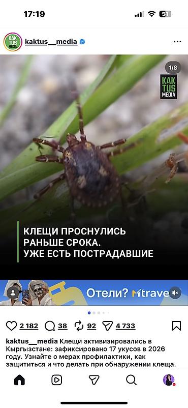 от клещей: Клещедёр! Продаю самое удобное и безопасное приспособление для — 3
