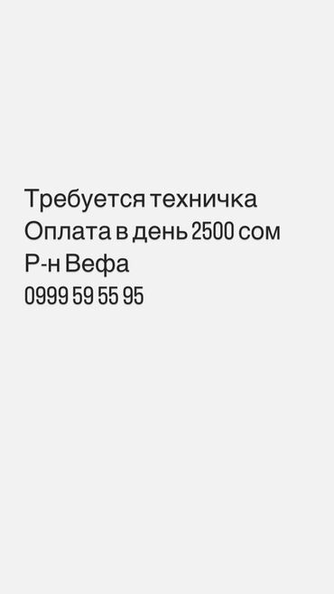 чистка топливной системы: Требуется Уборщица, Полный рабочий день