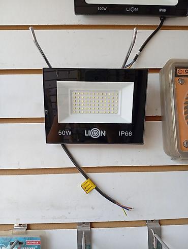 Прожекторы: Светодиодный прожектор LION 50W, степень защиты IP66. - Мощность: 50 — 1