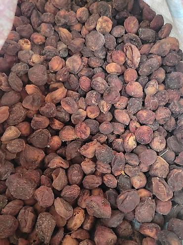 Сухофрукты, орехи, снеки: Сушёный абрикос (урюк/кайса без сиропа) - Натуральная сушка на — 4