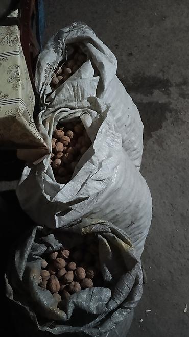 бу красовка: Продаю грецкие орехи, цена договорная — 3