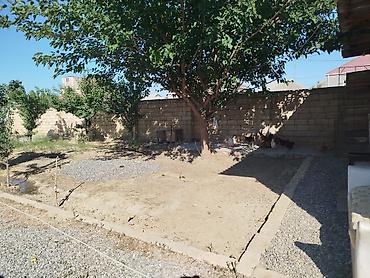 Həyət evləri və villaların satışı: 5 otaqlı, 90 kv. m, Orta təmir — 14