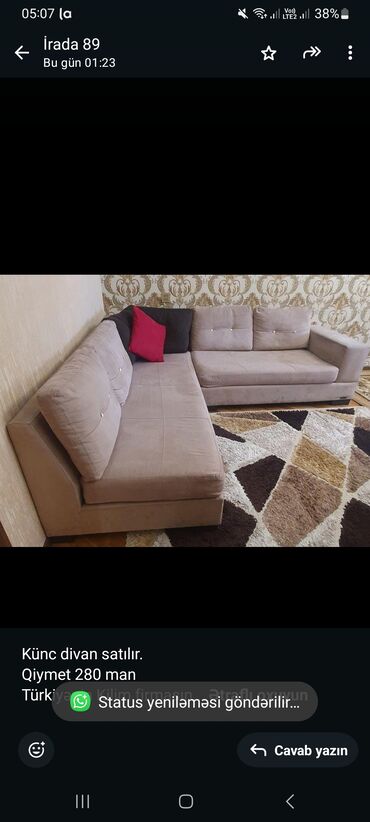 Bitkilər: Künc divan