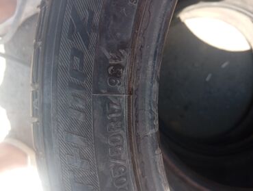 камеры для машины: Шиналар 205 / 50 / R 17, Жай, 1 даана, Жеңил унаалар, Кытай, Tracmax