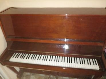 piano az: Buzovnada hazir köklenib — 3