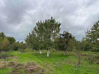 Bağ evlərinin satışı: Xaçmaz, 120 kv. m, 5 otaqlı, Hovuzsuz, Artezian quyusu, İnternet, Telefon — 9