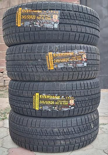 8 25 20: Зимние шины EVERSHINE S360 - Размер: 245/50 R20 - Индекс — 2