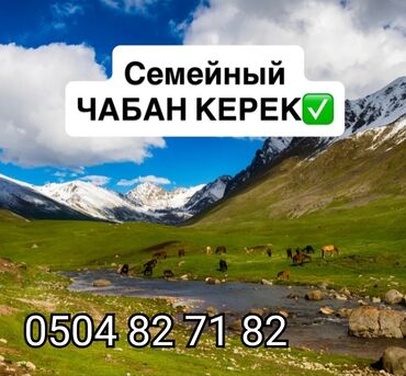 ищу работу посудомойщица: КЕМИНГЕ УЙБУЛОЛУ ЧАБАН КЕРЕК КОЙ БАККАНГА ТАМАК АШЫ КИЙМИ БЕКЕР АЙЛЫГЫ