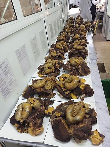 мяса рез: Сатыка жылкы эти уй эти устакан бышырып алып барып беруу услуги выезд — 2