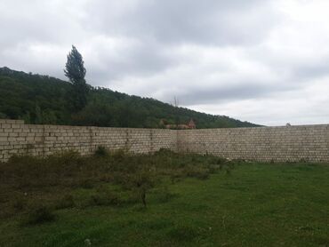 Torpaq sahələrinin satışı: 15 sot, Kənd təsərrüfatı, Mülkiyyətçi, Kupça (Çıxarış) — 19