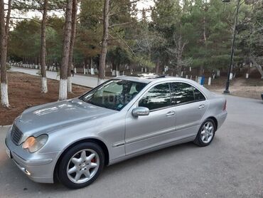 двигатель мерседес 2.2 дизель купить: Mercedes-Benz S 260: 2001 г., 2.4 л, Автомат, Бензин, Универсал