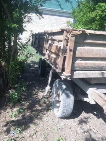 belarus traktor: Lapet satlır nasosu yoxdu normal lapeddi