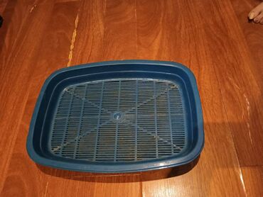 Oyuncaqlar: Pişik və it oyuncaqları və aksesuarlar: sican - 2 AZN; dovşan - 6 — 7