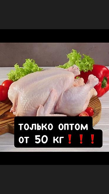 живой форел: 🐥🐥🐥 Халял❗️❗️❗️ Забой только сами делаем,строго по Шариату Куры — 8