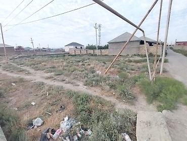 Torpaq sahələrinin satışı: 6 sot, Tikinti, Kupça (Çıxarış) — 12