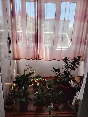 себе: 2 комнаты, 52 м², Индивидуалка, 3 этаж, Евроремонт — 8