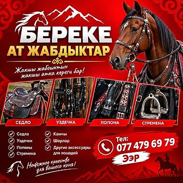ат кон: Комплект снаряжения и аксессуары для лошадей «Береке» Ассортимент: - — 1