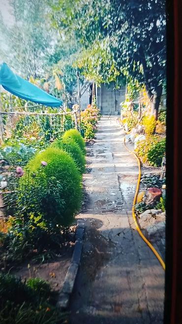 Продажа коттеджей и домов: Продается дом жилой с отоплением умная печка сарай Баня в принципе со — 17