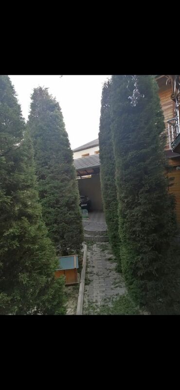 Bağbanlar: Bağban, 44 yaş, 5 ildən artıq təcrübə — 5