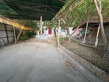 Продажа коттеджей и домов: Продаётся участок с домом и хозяйственными постройками. Описание — 1